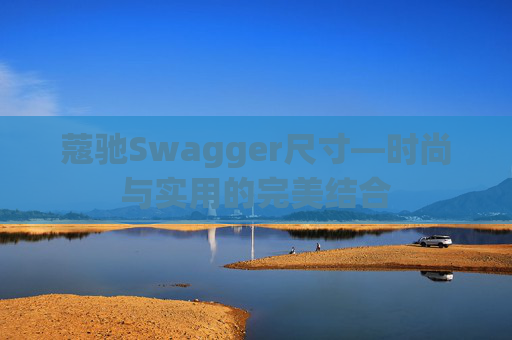 蔻驰Swagger尺寸—时尚与实用的完美结合